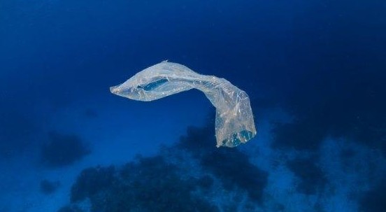 Siete pronti a dire addio a posate e piatti di plastica?