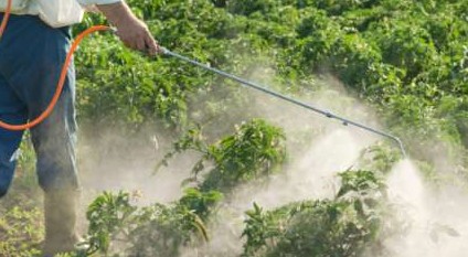 Pesticidi, Legambiente: “serve nuovo modello agricolo”