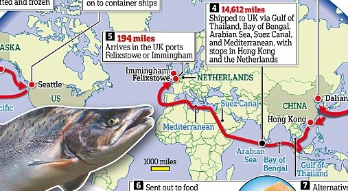 Ecco tutta la strada che fa il pesce morto prima di finire sulla nostra tavola