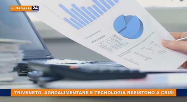 Triveneto, agroalimentare e tecnologia resistono a crisi