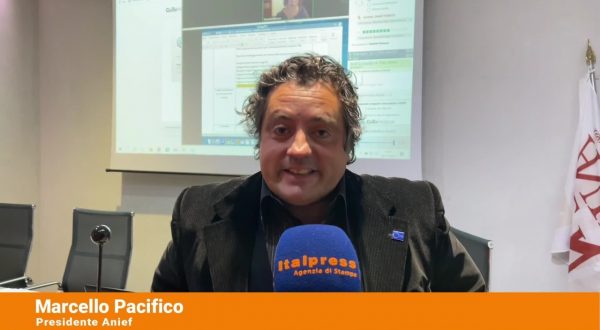 Anief “Il Paese riparta dall’istruzione”