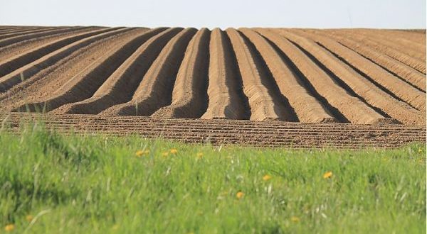 Per Nestlè obiettivo zero emissioni entro il 2050