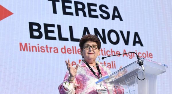 Bellanova “Conte ritiri norma su task force, non generi tensioni”