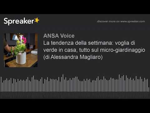 La tendenza della settimana: voglia di verde in casa, tutto sul micro-giardinaggio (di Alessandra Ma