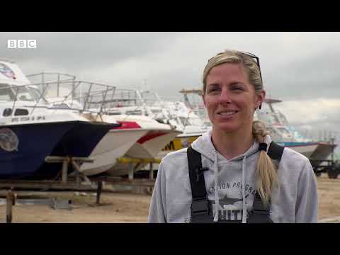 Mystery of great white sharks ‘disappearing’ from Cape Town coast – BBC News