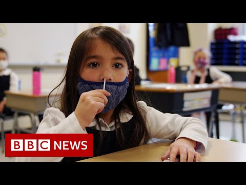 COVID-19 and the schools crisis – BBC News