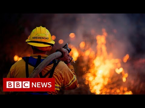 Climate Change: How much did it cost US economy in 2020? – BBC News