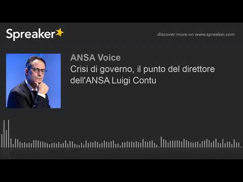 Crisi di governo, il punto del direttore dell’ANSA Luigi Contu