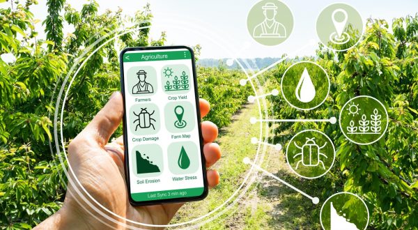 Venture capital, Enpaia “Puntiamo sull’agritech investendo 15 mln”