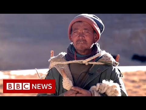 Himalayan yak herder ‘last shepherd’ in his family – BBC News