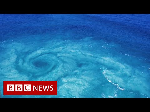 Capturing ‘the edge of the world’ and other rare phenomena  – BBC News