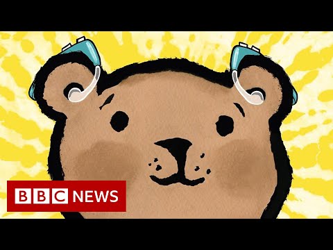 Deaf poet and illustrator go back to school with picture book  – BBC News