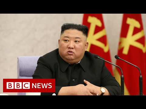 North Korea fires two ballistic missiles into Sea of Japan – BBC News