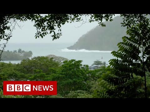 The ‘forgotten’ migrant crisis at Panama-Colombia border – BBC News