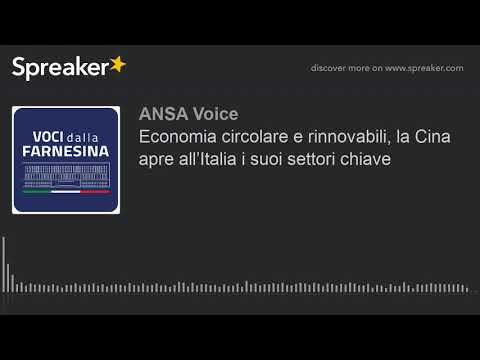 Economia circolare e rinnovabili, la Cina apre all’Italia i suoi settori chiave