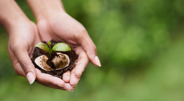 La cialda, per una pausa caffè che rispetta la natura