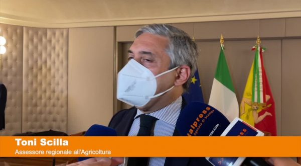 Quindici milioni per le aziende agricole siciliane