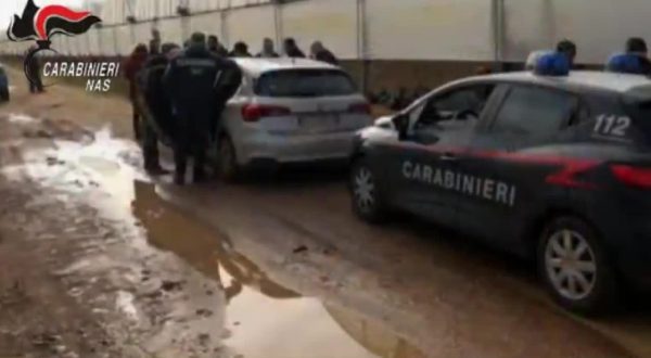 Caporalato, 7 arresti dei Nas tra Latina e Vicenza