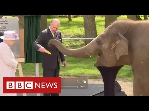 Prince Philip remembered as pioneer of wildlife conservation – BBC News