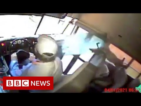 Video captures deer flying through a school bus windshield – BBC News