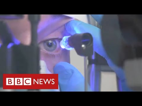 Radical new gene therapy restores sight to patients with rare eye condition – BBC News