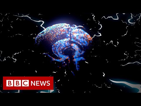 Have we become more forgetful in lockdown? – BBC News