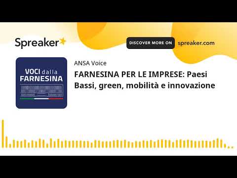 FARNESINA PER LE IMPRESE: Paesi Bassi, green, mobilità e innovazione