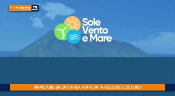 Rinnovabili unica vera strada per la transizione ecologica