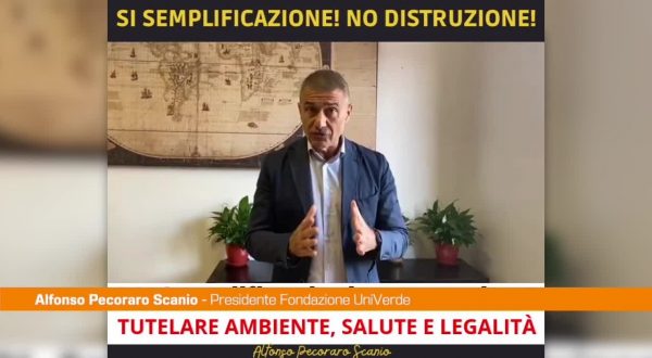 Pecoraro Scanio: “Servono semplificazioni vere e trasparenti”