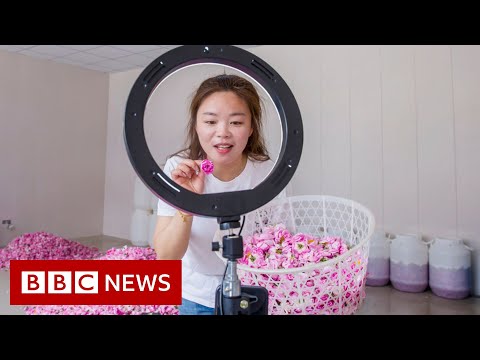 China: Teens try to break into livestream market – BBC News