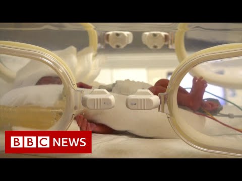 Woman gives birth to nine babies – BBC News