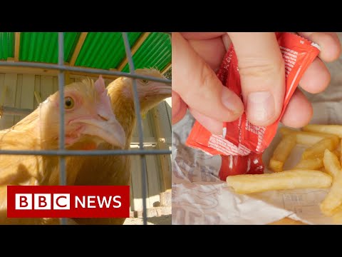 Pandemic supply chain disruption leaves US facing shortages of chicken, ketchup and wood – BBC News