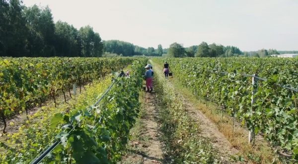 Agricoltura, ancora niente accordo sulla nuova Pac