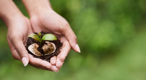 Il caffè espresso napoletano amico dell’ambiente