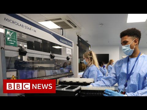 Life-saving Covid treatment found – BBC News