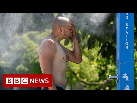 Dozens dead as Canada heatwave shatters temperature records – BBC News