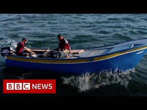 The precarious life of a Gaza fisherman – BBC News