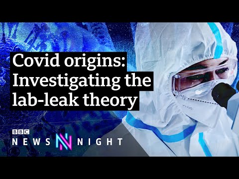 Covid-19: Did the pandemic start in a Wuhan lab? – BBC Newsnight