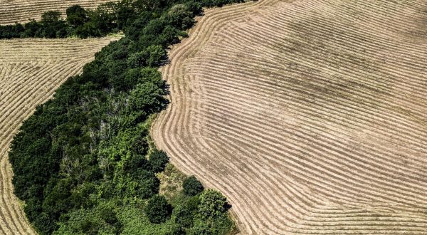 63% mamme italiane pensa che prendersi cura dell’ambiente sia costoso