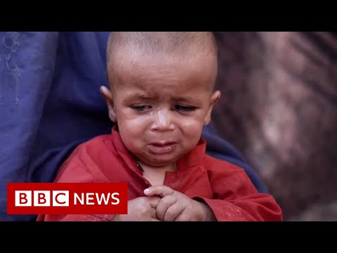 Fleeing bombs and bullets in Afghanistan – BBC News