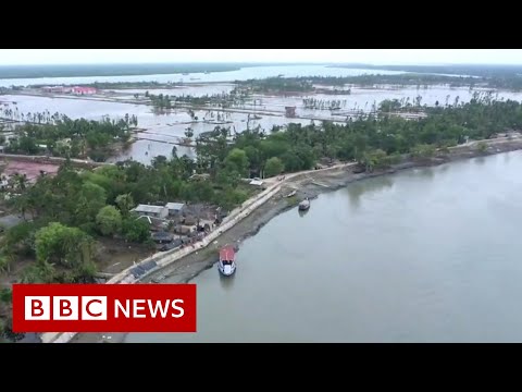 Why the world’s largest mangrove forest is sinking – BBC News