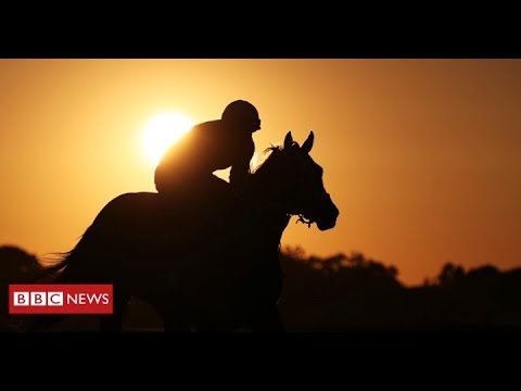 BBC News – Inside the abattoir slaughtering racehorses