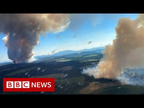 Canada wildfire forces evacuation of hottest place in the country – BBC News