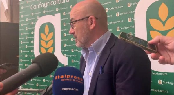 Agricoltura, Cingolani “Previste misure per efficientare sistema”