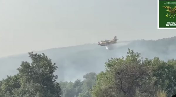 Incendi, dalle Madonie al Parco dell’Etna. Canadair in azione in Sicilia