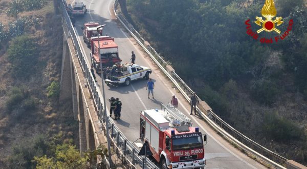 Incendi nel palermitano, una denuncia nel trapanese