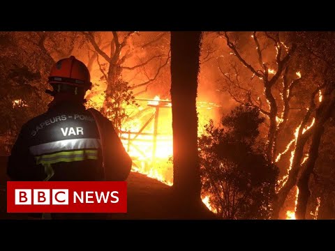 Thousands flee wildfires near French Riviera – BBC News