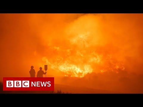 Devastating wildfires sweep through Europe  – BBC News