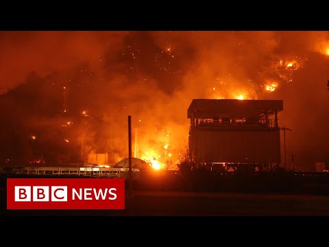 Wildfires devastate Turkey and Greece in ‘worst fire crisis in a decade’ – BBC News