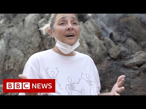 Will Turkey’s bees return after the wildfires? –  BBC News